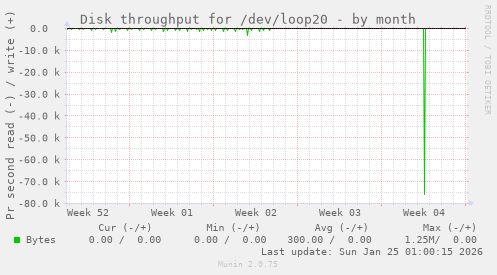 Disk throughput for /dev/loop20